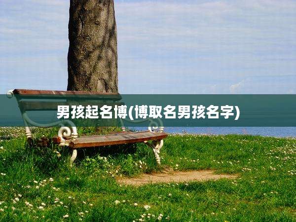 男孩起名博(博取名男孩名字)