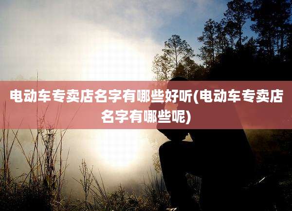 电动车专卖店名字有哪些好听(电动车专卖店名字有哪些呢)