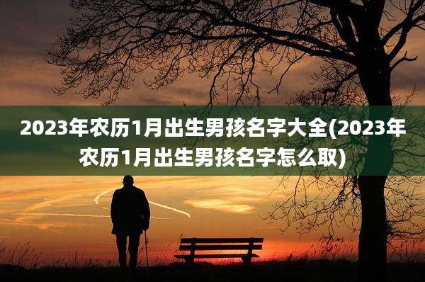 2023年农历1月出生男孩名字大全(2023年农历1月出生男孩名字怎么取)