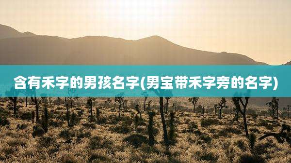 含有禾字的男孩名字(男宝带禾字旁的名字)