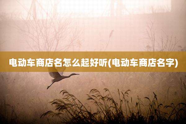 电动车商店名怎么起好听(电动车商店名字)
