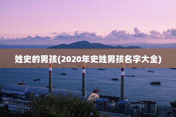 姓史的男孩(2020年史姓男孩名字大全)