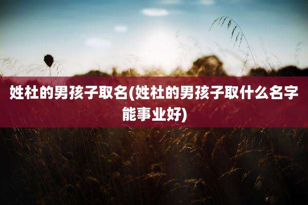 姓杜的男孩子取名(姓杜的男孩子取什么名字能事业好)