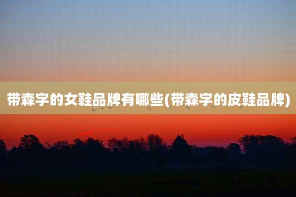 带森字的女鞋品牌有哪些(带森字的皮鞋品牌)