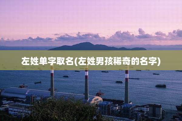 左姓单字取名(左姓男孩稀奇的名字)