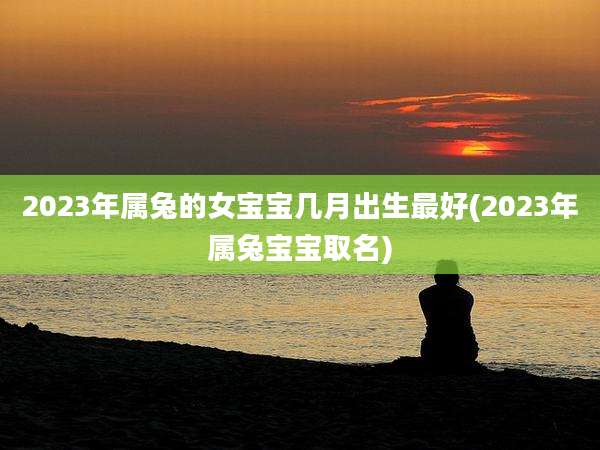 2023年属兔的女宝宝几月出生最好(2023年属兔宝宝取名)