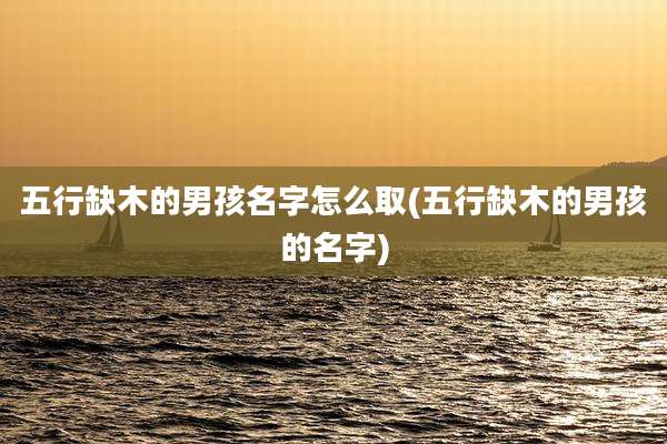 五行缺木的男孩名字怎么取(五行缺木的男孩的名字)