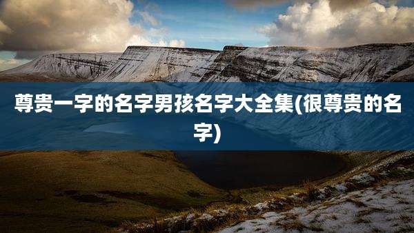 尊贵一字的名字男孩名字大全集(很尊贵的名字)