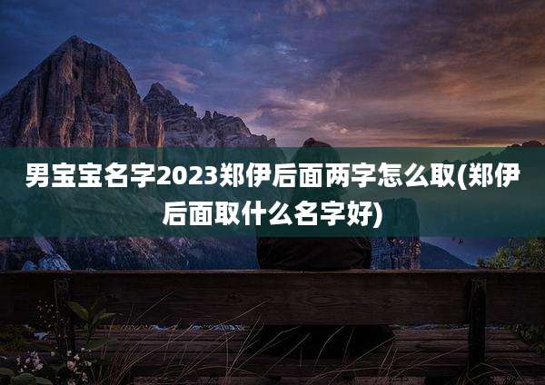 男宝宝名字2023郑伊后面两字怎么取(郑伊后面取什么名字好)