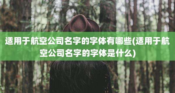 适用于航空公司名字的字体有哪些(适用于航空公司名字的字体是什么)