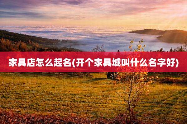 家具店怎么起名(开个家具城叫什么名字好)