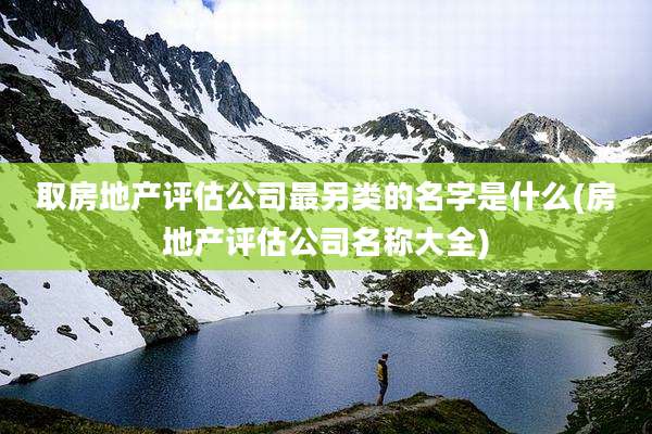 取房地产评估公司最另类的名字是什么(房地产评估公司名称大全)