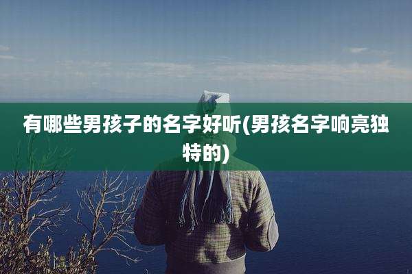 有哪些男孩子的名字好听(男孩名字响亮独特的)
