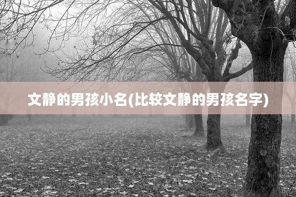 文静的男孩小名(比较文静的男孩名字)