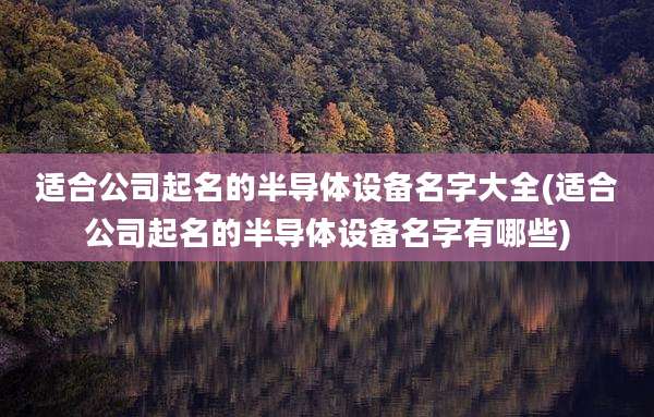 适合公司起名的半导体设备名字大全(适合公司起名的半导体设备名字有哪些)