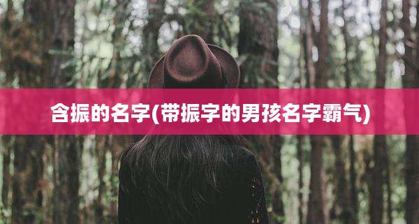 含振的名字(带振字的男孩名字霸气)