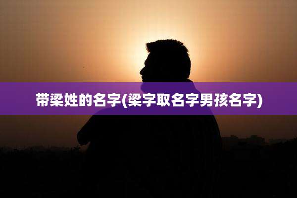 带梁姓的名字(梁字取名字男孩名字)