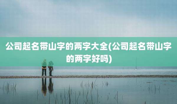 公司起名带山字的两字大全(公司起名带山字的两字好吗)