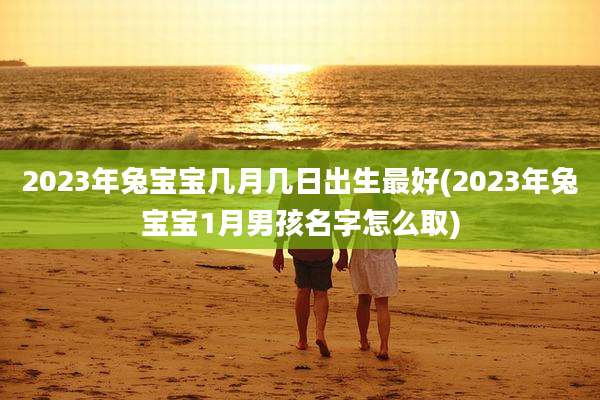2023年兔宝宝几月几日出生最好(2023年兔宝宝1月男孩名字怎么取)