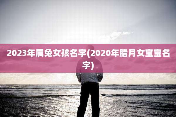 2023年属兔女孩名字(2020年腊月女宝宝名字)