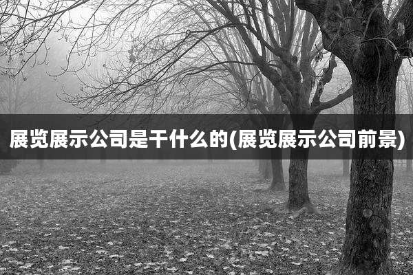 展览展示公司是干什么的(展览展示公司前景)