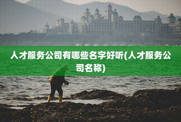 人才服务公司有哪些名字好听(人才服务公司名称)