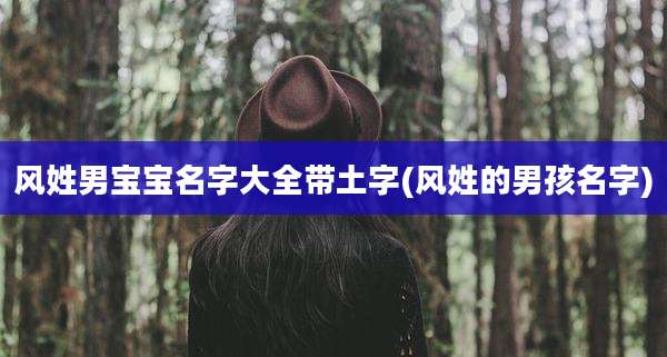 风姓男宝宝名字大全带土字(风姓的男孩名字)