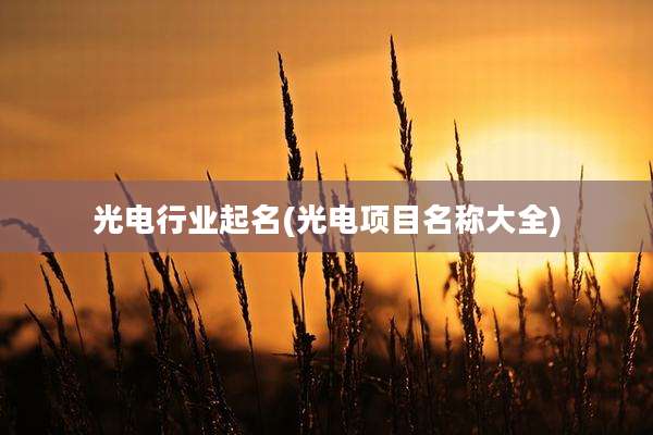 光电行业起名(光电项目名称大全)