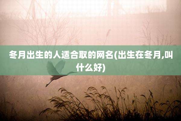 冬月出生的人适合取的网名(出生在冬月,叫什么好)