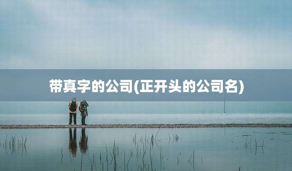 带真字的公司(正开头的公司名)