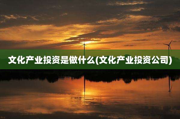 文化产业投资是做什么(文化产业投资公司)