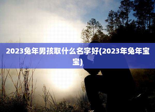 2023兔年男孩取什么名字好(2023年兔年宝宝)