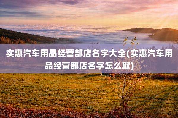 实惠汽车用品经营部店名字大全(实惠汽车用品经营部店名字怎么取)