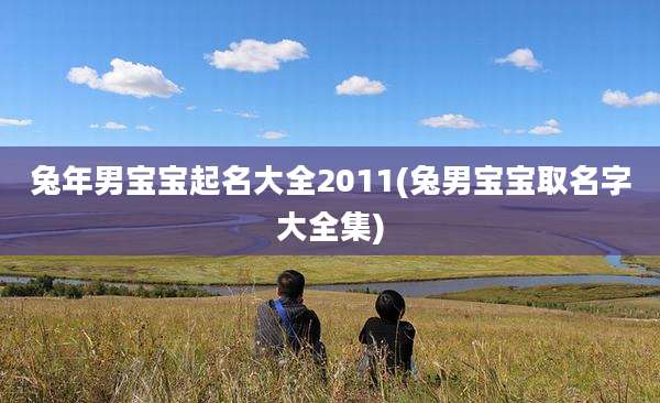 兔年男宝宝起名大全2011(兔男宝宝取名字大全集)