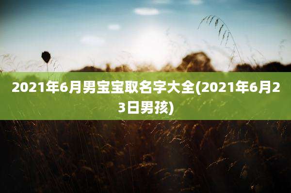 2021年6月男宝宝取名字大全(2021年6月23日男孩)