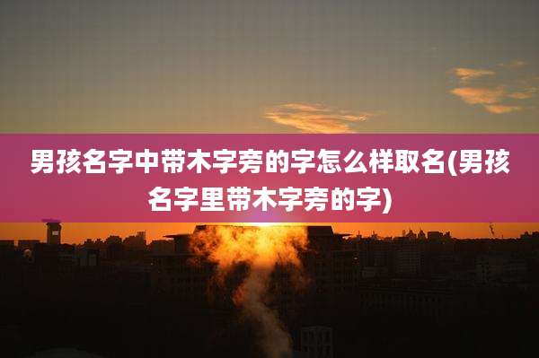 男孩名字中带木字旁的字怎么样取名(男孩名字里带木字旁的字)