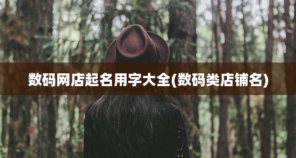 数码网店起名用字大全(数码类店铺名)