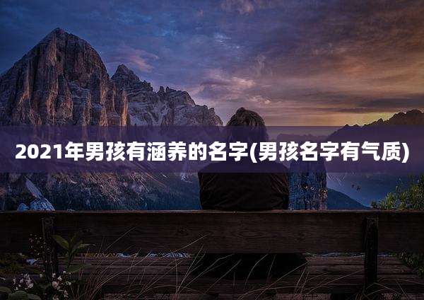 2021年男孩有涵养的名字(男孩名字有气质)