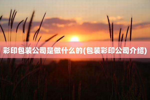 彩印包装公司是做什么的(包装彩印公司介绍)