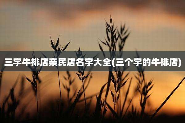三字牛排店亲民店名字大全(三个字的牛排店)