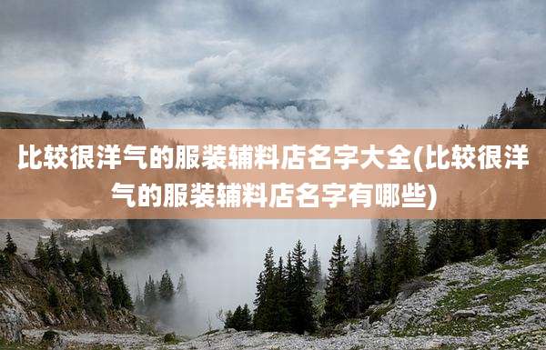 比较很洋气的服装辅料店名字大全(比较很洋气的服装辅料店名字有哪些)
