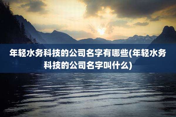 年轻水务科技的公司名字有哪些(年轻水务科技的公司名字叫什么)