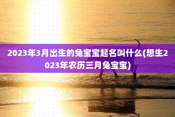 2023年3月出生的兔宝宝起名叫什么(想生2023年农历三月兔宝宝)