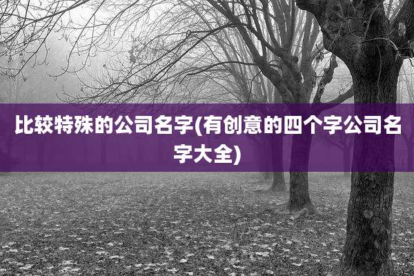 比较特殊的公司名字(有创意的四个字公司名字大全)