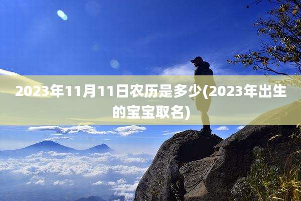 2023年11月11日农历是多少(2023年出生的宝宝取名)