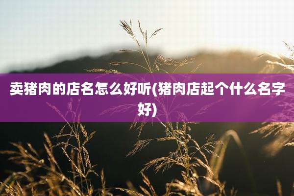 卖猪肉的店名怎么好听(猪肉店起个什么名字好)