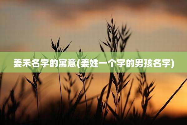 姜禾名字的寓意(姜姓一个字的男孩名字)