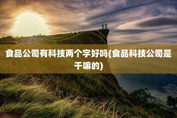 食品公司有科技两个字好吗(食品科技公司是干嘛的)