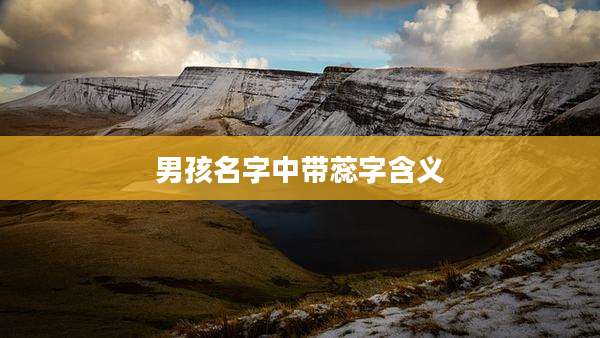 男孩名字中带蕊字含义