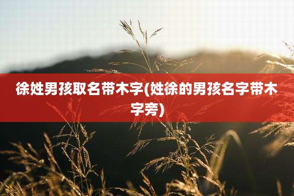 徐姓男孩取名带木字(姓徐的男孩名字带木字旁)